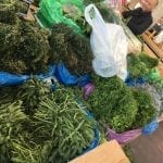 fresh vegitables market